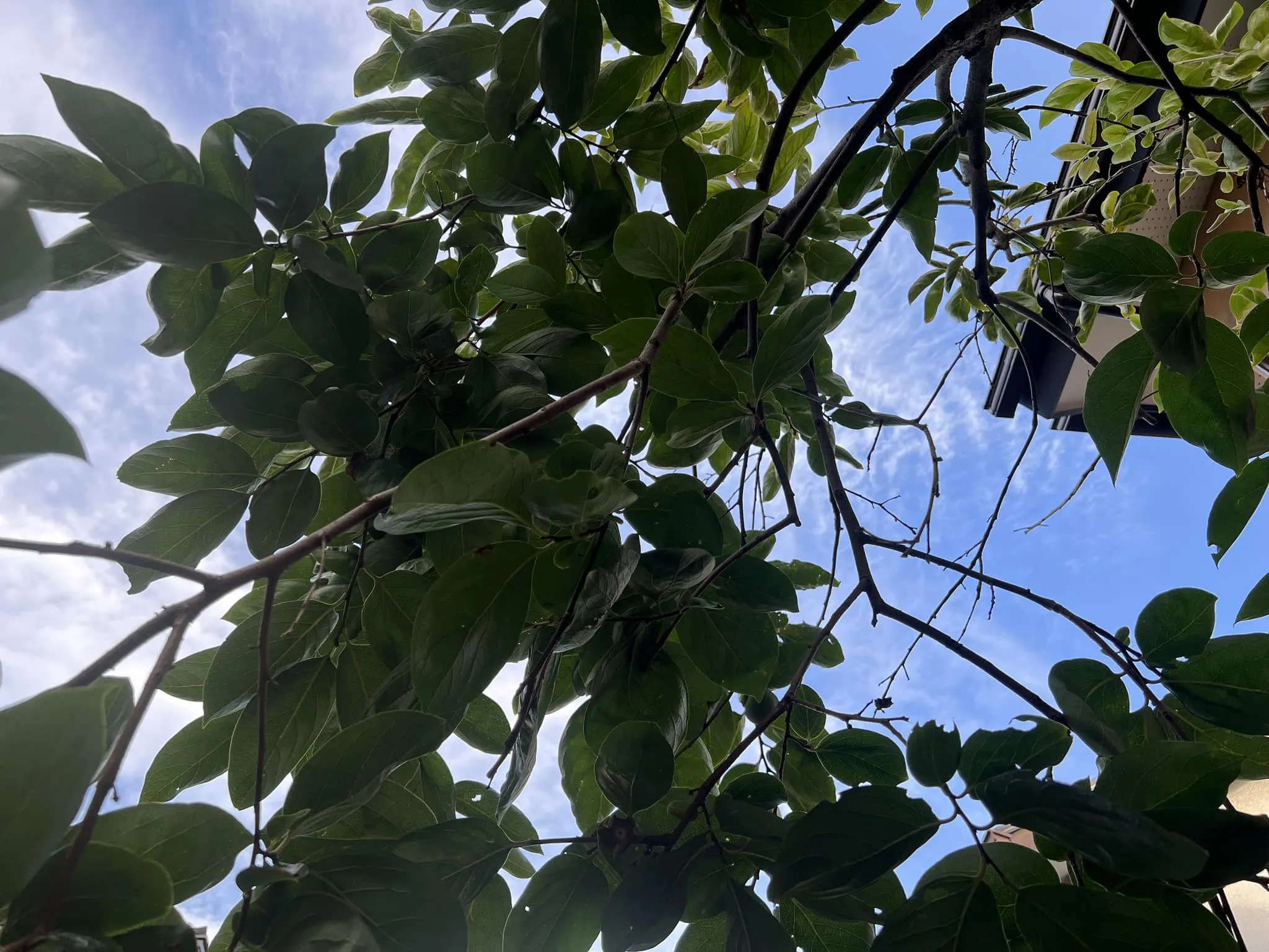 13年前の暑い8月。