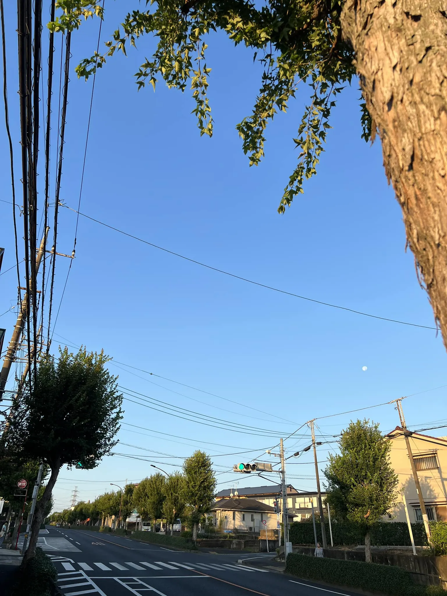 4時起床‼️早朝、餃子のチラシ配り‼️