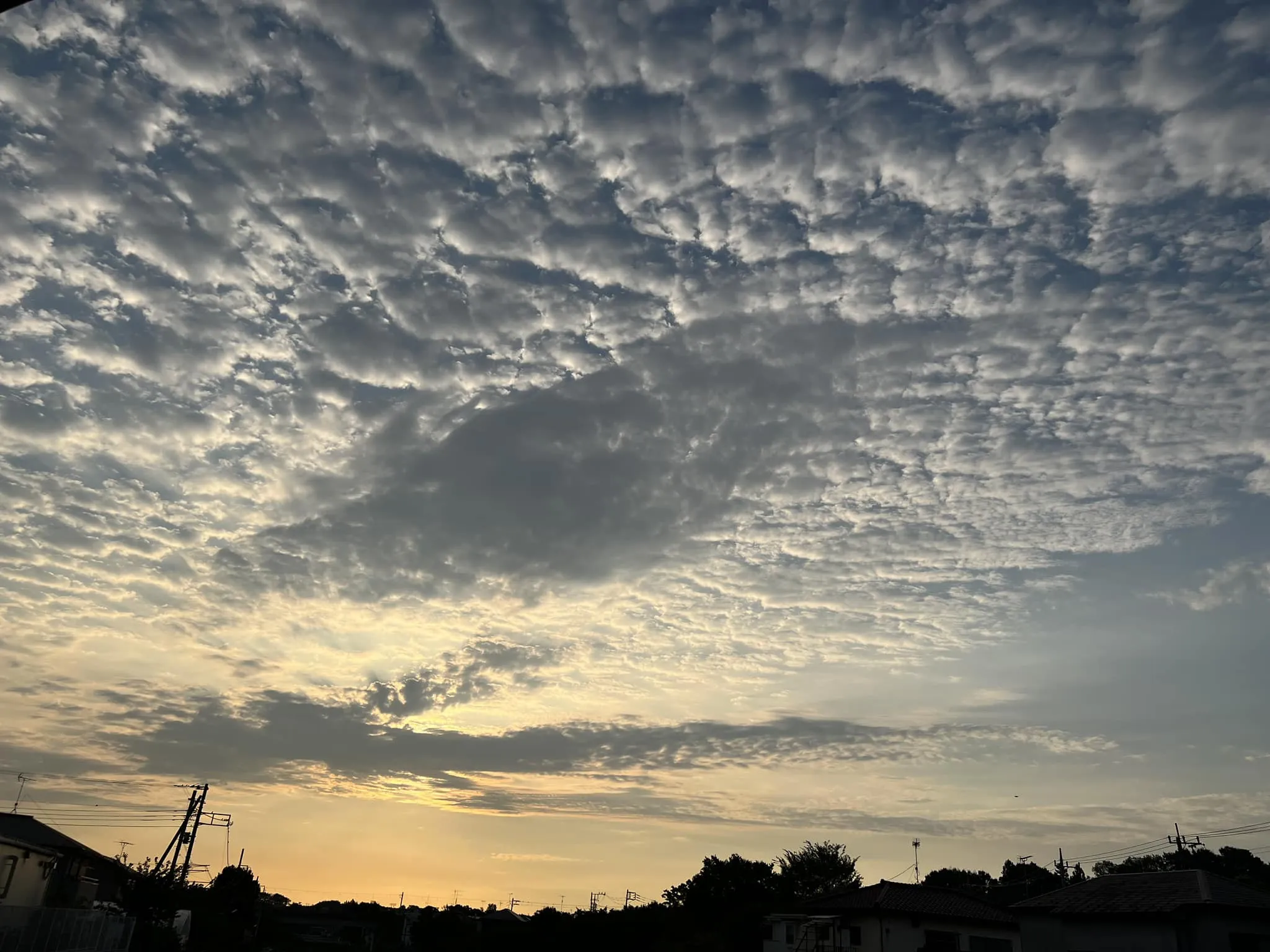 朝の空気をたくさん吸って仕事に向かう‼️